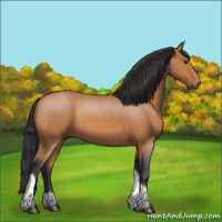 Horse Color:Bay Roan Tobiano 