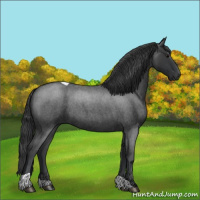 Horse Color:Blue Roan Tobiano 