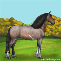 Horse Color:Bay Roan Tobiano 