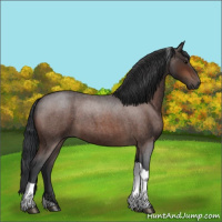 Horse Color:Bay Roan Tobiano 