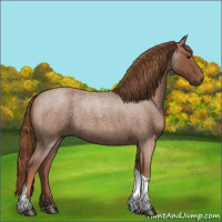 Horse Color:Red Roan Tobiano 