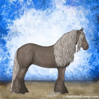 Horse Color:Silver Black 