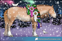 Horse Color:Bay Pearl