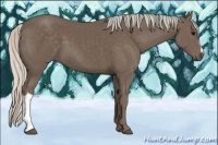 Horse Color:Silver Black 