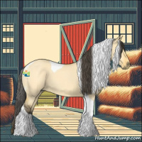 Horse Color:Buckskin Roan Dun Tobiano 