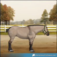 Horse Color:Liver Red Dun 