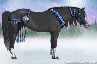 Horse Color:Black and Black Splash