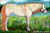 Horse Color:Watercolor White Spotted Liver Red Dun Onyx Rabicano