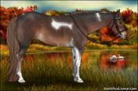 Horse Color:Liver Chestnut Tobiano 