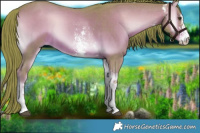 Horse Color:Watercolor Liver Red Onyx Sabino 
