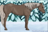 Horse Color:Silver Black 