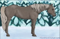Horse Color:Silver Black 