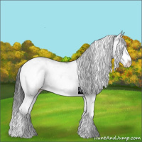 Horse Color:Black Sabino