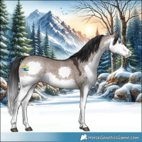 Horse Color:Brown Dun Splash