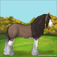 Horse Color:Liver Red Dun Splash 
