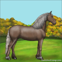 Horse Color:Silver Black 