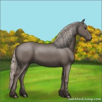 Horse Color:Silver Black 