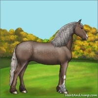 Horse Color:Silver Black 
