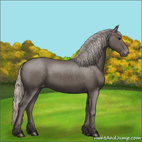 Horse Color:Silver Black Varnish 