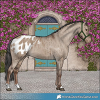 Horse Color:Liver Red Dun Blanket Brindle 