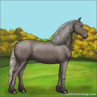 Horse Color:Silver Black 