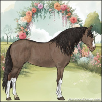 Horse Color:Liver Red Dun Varnish Brindle 