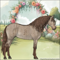 Horse Color:Liver Red Dun Brindle 