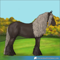 Horse Color:Liver Chestnut Rabicano