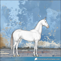 Horse Color:Liver Red Dun Appaloosa 