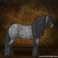 Horse Color:Blue Roan Varnish 
