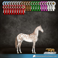Horse Color:Brown Pearl Dun Appaloosa Brindle 