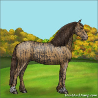 Horse Color:Smoky Black  and Classic Cream Champagne 