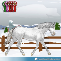 Horse Color:Chocolate Palomino Dun Near Fewspot Brindle 