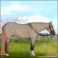 Horse Color:Liver Red Dun Brindle 