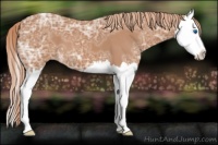 Horse Color:Chestnut Ice Splash 