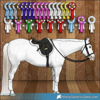 Horse Color:Liver Red Dun Appaloosa Brindle