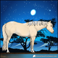 Horse Color:Palomino Dun Tobiano