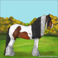 Horse Color:Bay Tobiano 