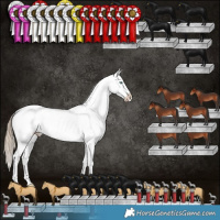 Horse Color:Liver Red Dun Pearl Appaloosa Brindle 