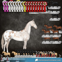 Horse Color:Liver Red Dun Pearl Appaloosa Brindle 