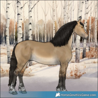 Horse Color:Gray Buckskin Dun