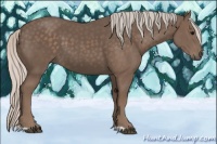 Horse Color:Silver Black 