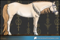 Horse Color:Buckskin Pearl 