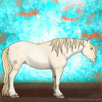 Horse Color:Buckskin Pearl 