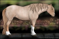 Horse Color:Liver Red Roan Pearl Tobiano Frame