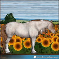 Horse Color:Liver Red Roan Pearl Tobiano Frame