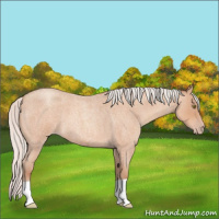 Horse Color:Silver Sable Champagne Roan