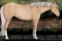 Horse Color:Silver Classic Champagne Rabicano 