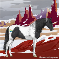 Horse Color:Black Tobiano 