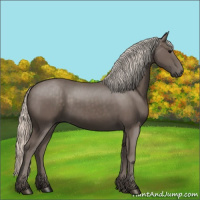 Horse Color:Silver Black 